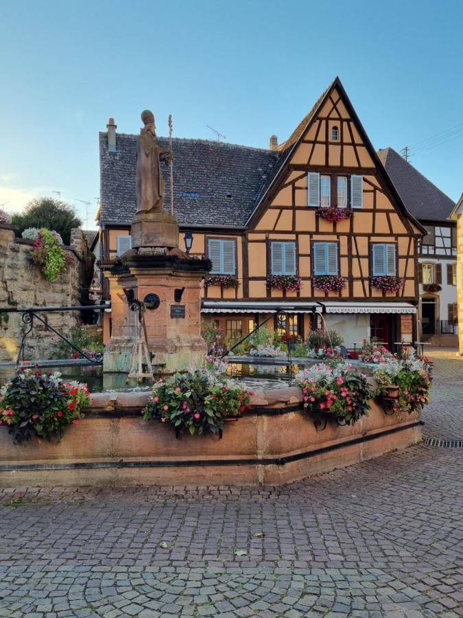L'Ourson Lägenhet Colmar Exteriör bild