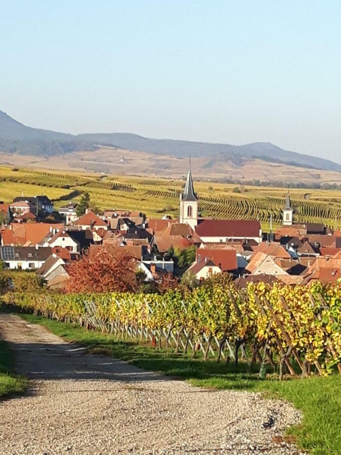 L'Ourson Lägenhet Colmar Exteriör bild